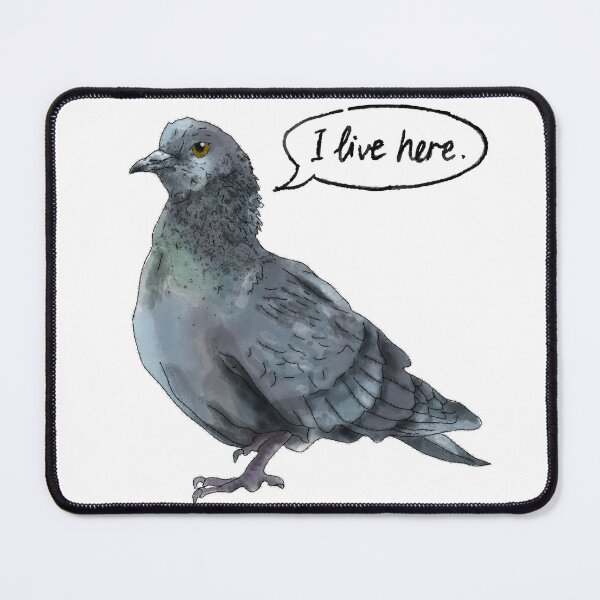 Item preview, Pigeon - I Live Here designed and sold by RachaelGrundyArt.