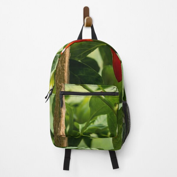 Item preview, Ripe Red Pepper Growing on Plant with Green Peppers in Garden designed and sold by VisualMoodFoto.
