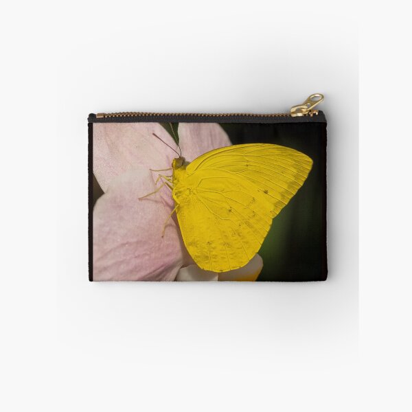 Item preview, Phoebis Agarithe designed and sold by MS.photo.