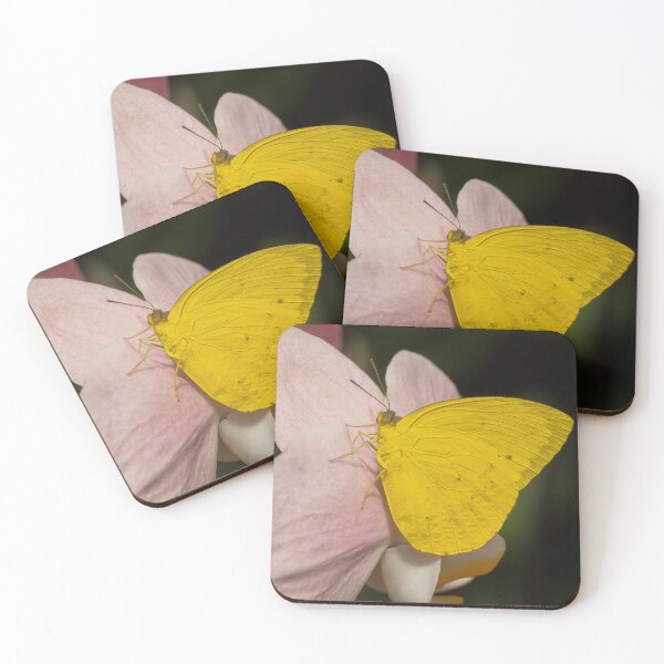 Item preview, Phoebis Agarithe designed and sold by MS.photo.