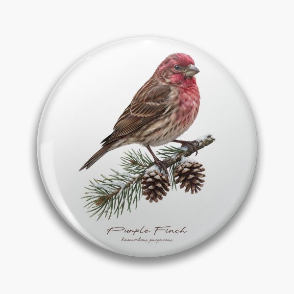 Item preview, Purple Finch on Snowy Pine Tree designed and sold by Takeda-art.