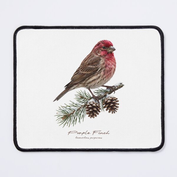 Item preview, Purple Finch on Snowy Pine Tree designed and sold by Takeda-art.
