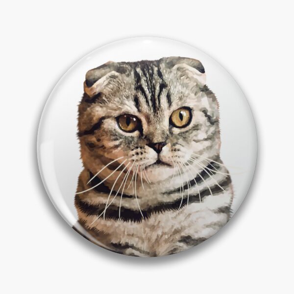 Item preview, Do I look like I care Funny cat. Proceeds go to animal charities rescues designed and sold by AnimalFriends1.