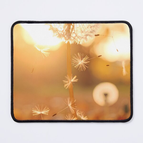 Item preview, Dandelion flowers in sunset designed and sold by Creative Visualize.