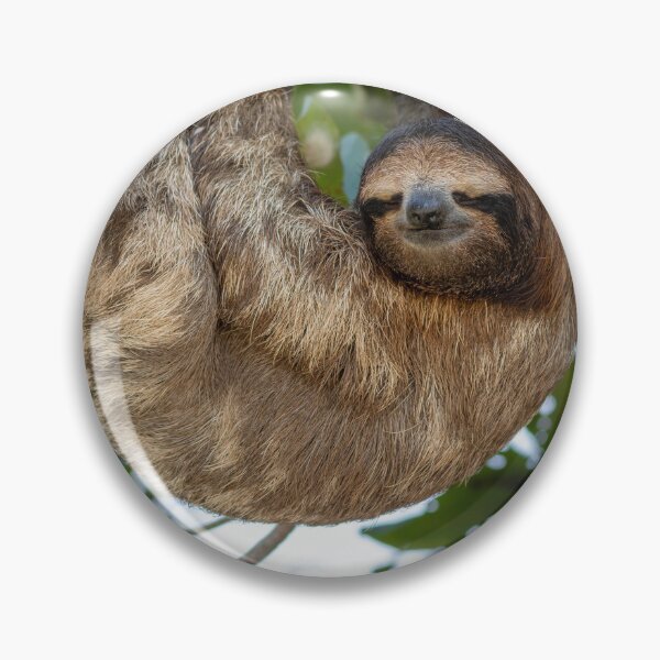 Item preview, Current Mood Sloth Meme Funny Lazy Animal Sticker Three Toed Sloth Relatable Humor Gift designed and sold by WildFrameNature.