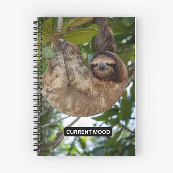 Artikelvorschau, Faultier-Meme mit aktueller Stimmung – Lustiger Aufkleber mit Dreifingerfaultier – Humorvolles Geschenk entworfen und verkauft von WildFrameNature.
