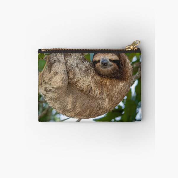 Item preview, Current Mood Sloth Meme Funny Lazy Animal Sticker Three Toed Sloth Relatable Humor Gift designed and sold by WildFrameNature.