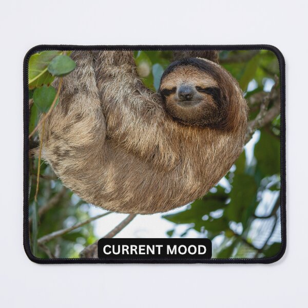 Item preview, Current Mood Sloth Meme Funny Lazy Animal Sticker Three Toed Sloth Relatable Humor Gift designed and sold by WildFrameNature.