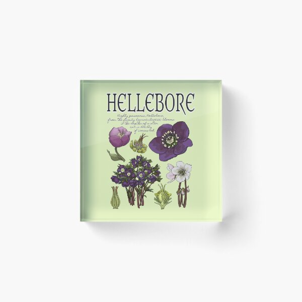Item preview, Hellebore Botanical designed and sold by Wonderspell Studio.