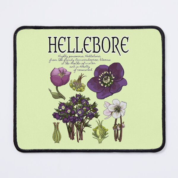 Item preview, Hellebore Botanical designed and sold by Wonderspell Studio.