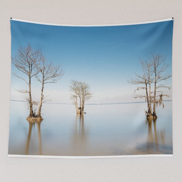 Item preview, Lake Moultrie 26/7 designed and sold by DiFigianoPhoto.