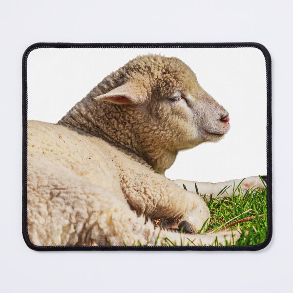Item preview, Sleepy Sheepy designed and sold by Dalyndigital Photography.