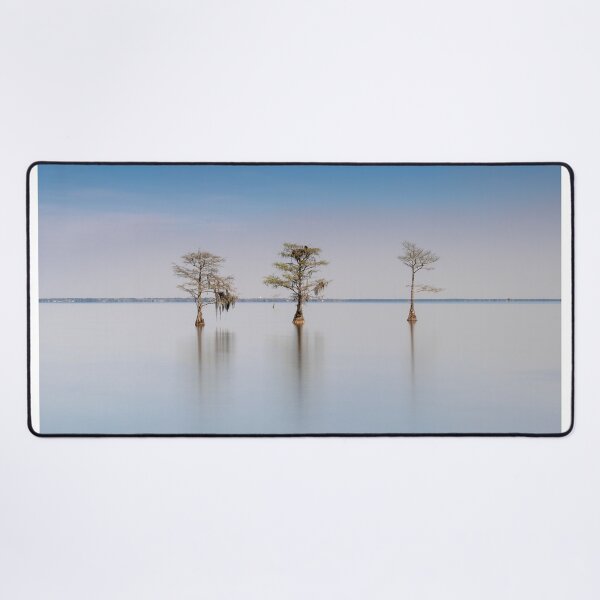 Item preview, Lake Moultrie 26/8 designed and sold by DiFigianoPhoto.