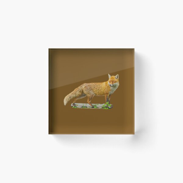 Item preview, Red Fox  designed and sold by Dalyndigital Photography.