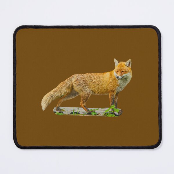 Item preview, Red Fox designed and sold by Dalyndigital Photography.
