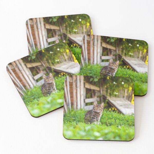 Item preview, Cute Cat Sitting in Green Grass in Rustic Garden Setting designed and sold by VisualMoodFoto.