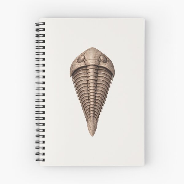 Item preview, Trilobite Fossil – Prehistoric Illustration designed and sold by Ombrya.