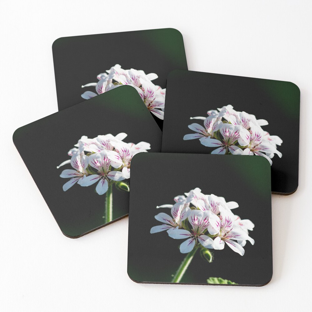Item preview, Coasters (Set of 4) designed and sold by stephendean.