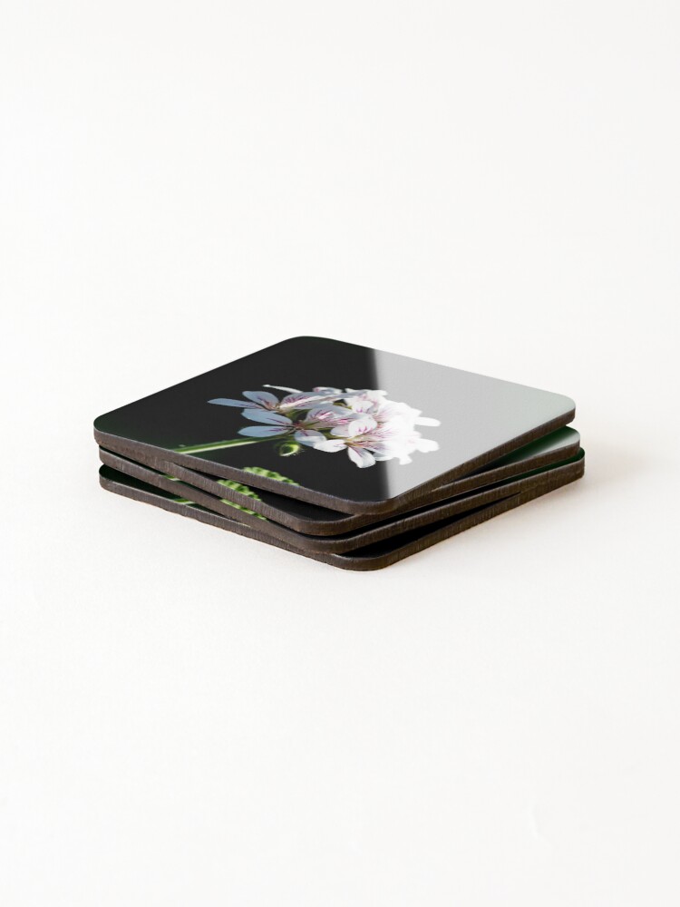 Thumbnail 4 of 5, Coasters (Set of 4), Spring Bloom designed and sold by stephendean.