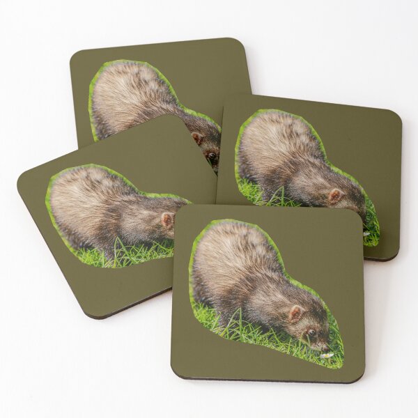 Item preview,  Ferret sniffing a daisy designed and sold by Dalyndigital Photography.