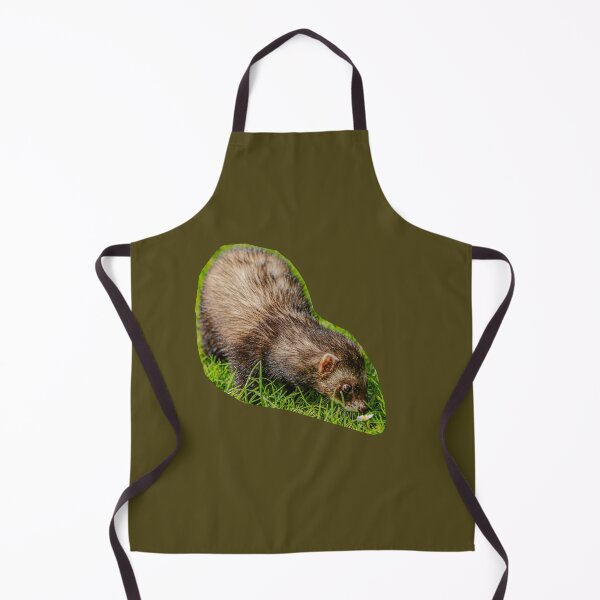Item preview,  Ferret sniffing a daisy designed and sold by Dalyndigital Photography.
