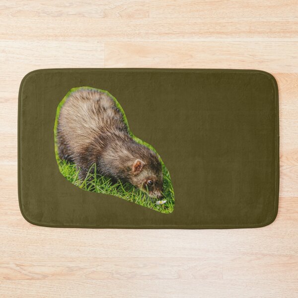 Item preview,  Ferret sniffing a daisy designed and sold by Dalyndigital Photography.