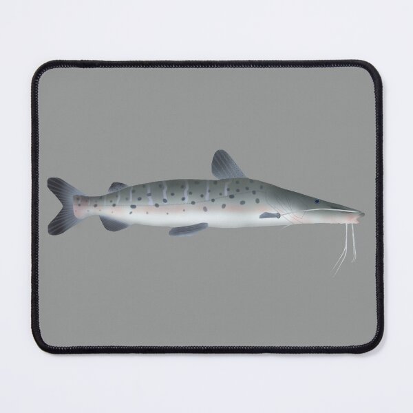 Item preview, Spotted Sorubim designed and sold by fishfolkart.