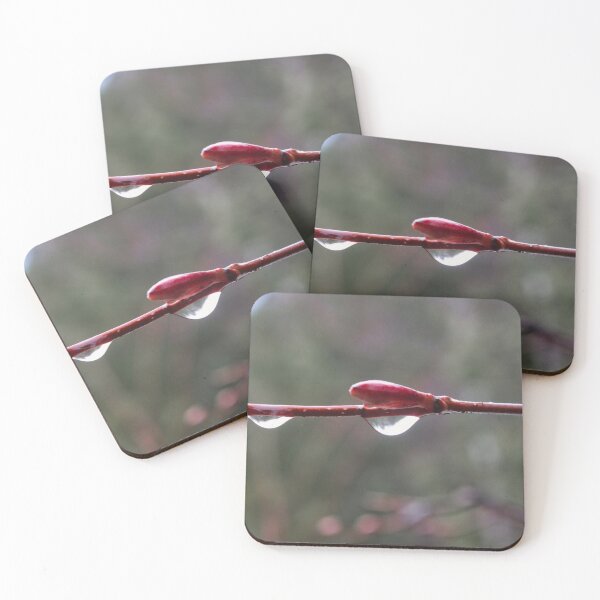 Item preview, After the Rain designed and sold by FFP Landscapes.