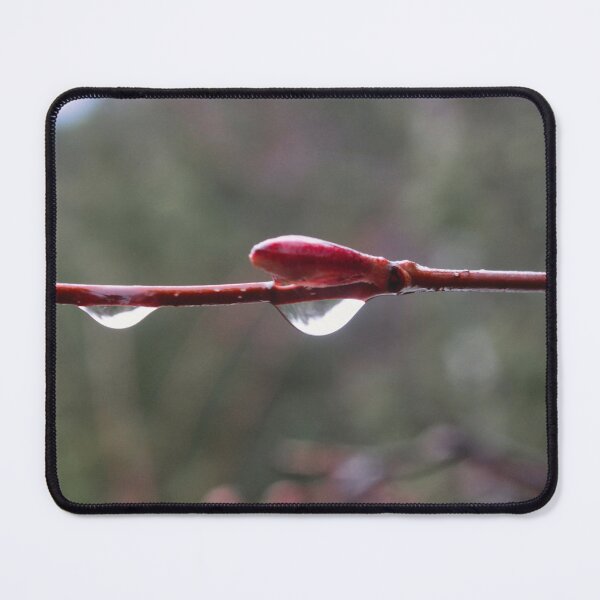 Item preview, After the Rain designed and sold by FFP Landscapes.