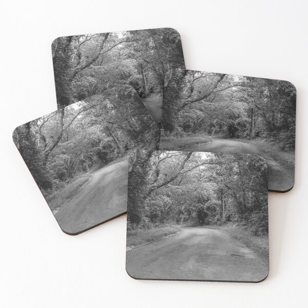Item preview,  Cape Cod Forest Road Black and White designed and sold by MDCCo.