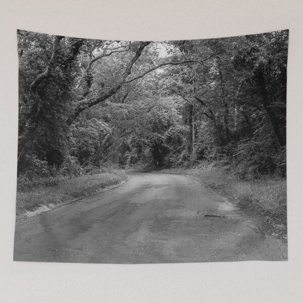 Item preview,  Cape Cod Forest Road Black and White designed and sold by MDCCo.