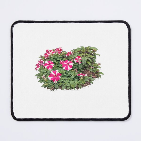 Item preview, Pink & White Petunia Flower | Aesthetic Floral Garden Design | designed and sold by Babadesign48.