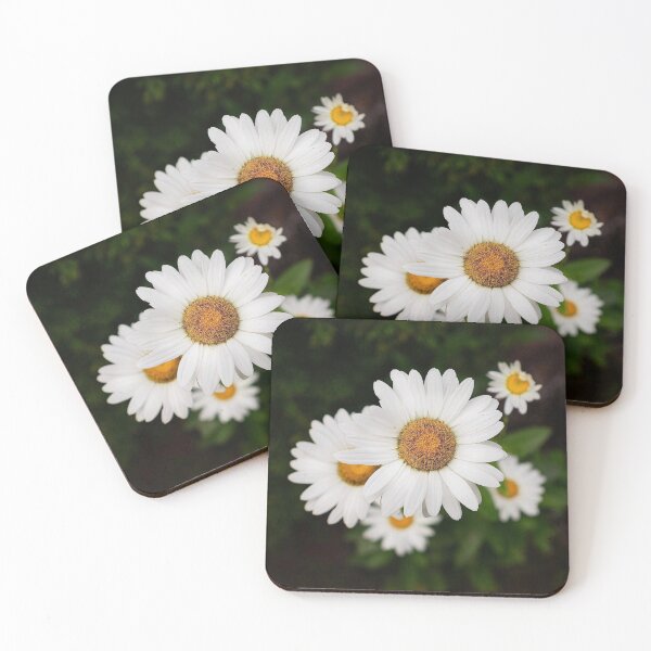 Item preview, Cape Cod White Daisies Summer Botanical Close Up designed and sold by MDCCo.