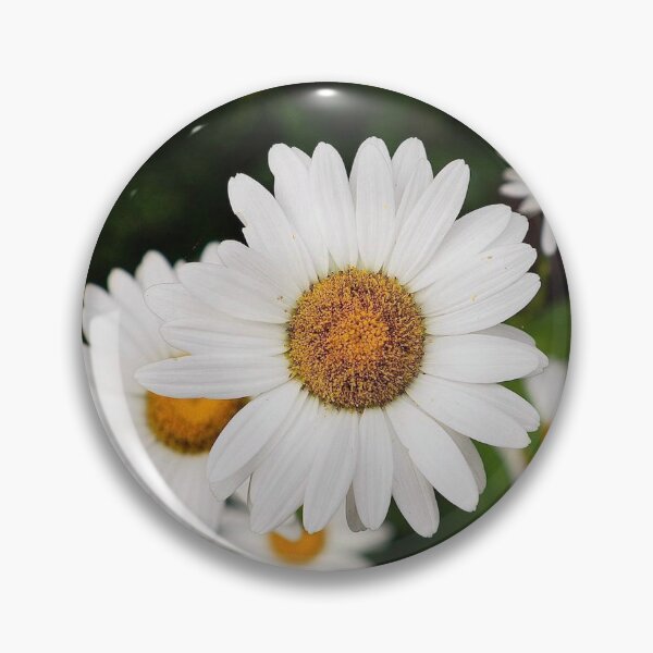 Item preview, Cape Cod White Daisies Summer Botanical Close Up designed and sold by MDCCo.