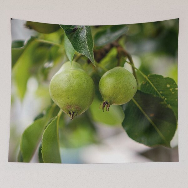 Item preview,  Pears on Branch Cape Cod Summer Nature designed and sold by MDCCo.