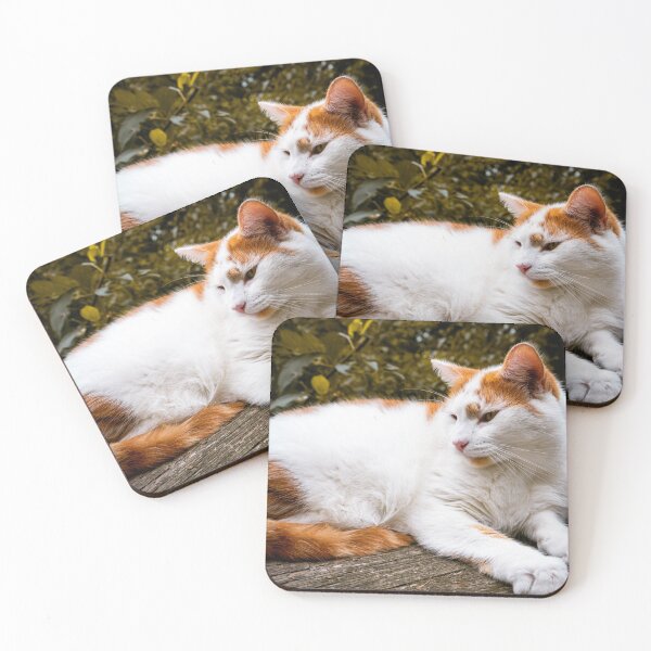 Item preview, Orange and White Cat Lounging Outdoor Portrait designed and sold by MDCCo.