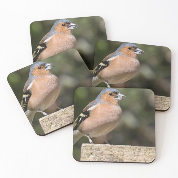 Item preview, Common Chaffinch designed and sold by LaurenTucker.