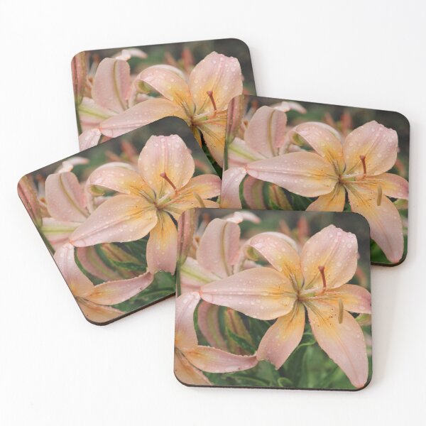 Item preview, Light Peach Lily With Dew Drops designed and sold by FlowerFotos.