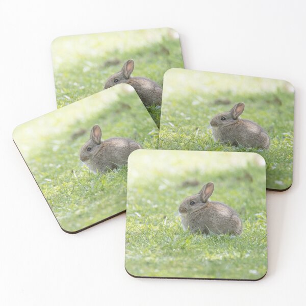 Item preview, European Rabbit designed and sold by LaurenTucker.