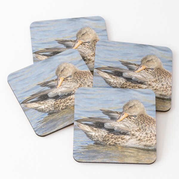 Item preview, Gadwall designed and sold by LaurenTucker.