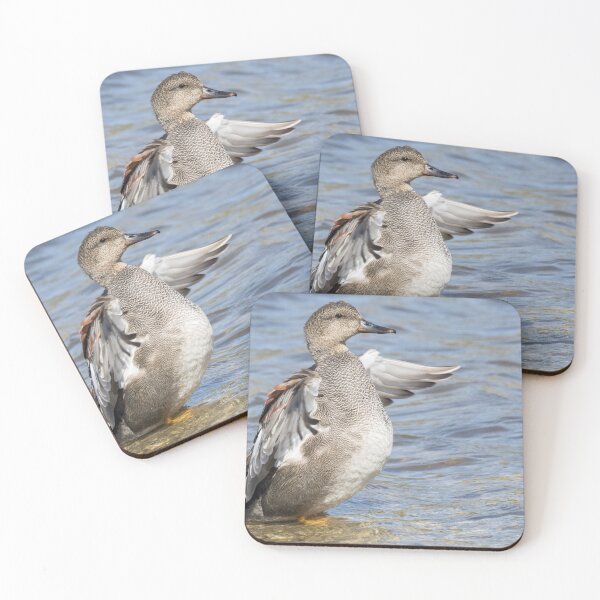 Item preview, Gadwall designed and sold by LaurenTucker.