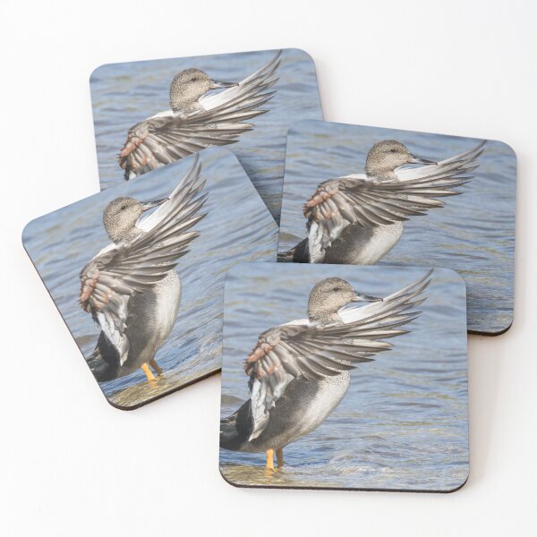 Item preview, Gadwall designed and sold by LaurenTucker.