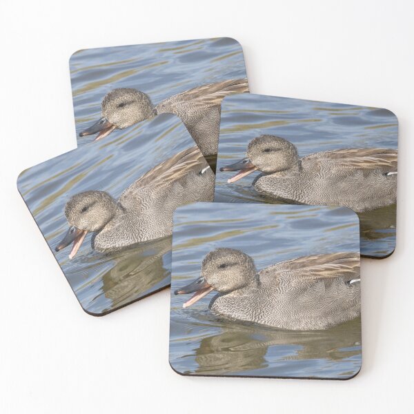 Item preview, Gadwall designed and sold by LaurenTucker.