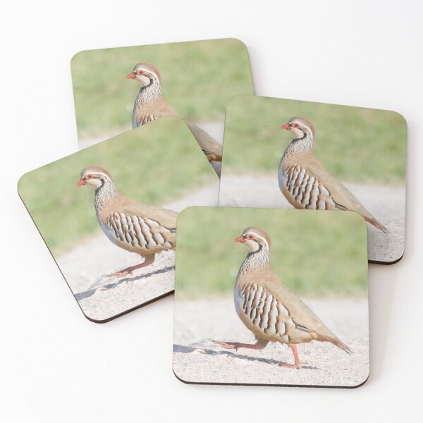 Item preview, Red Legged Partridge designed and sold by LaurenTucker.