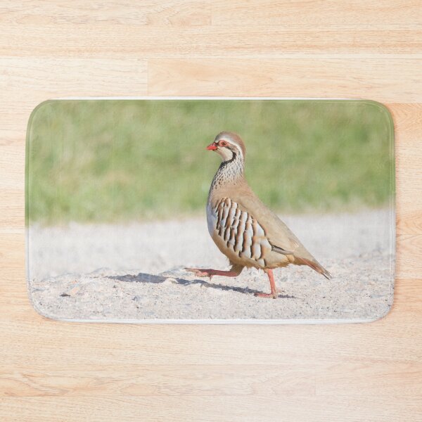 Item preview, Red Legged Partridge designed and sold by LaurenTucker.