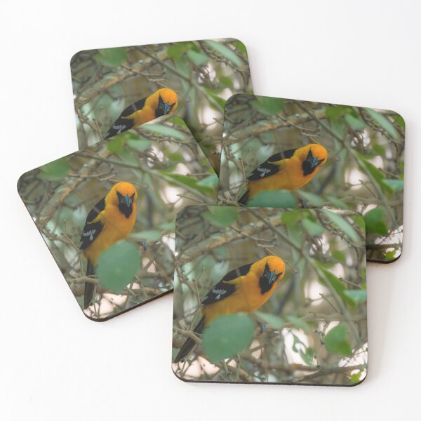 Item preview, Altamira Oriole Peeking Through the Leaves designed and sold by Debra Martz.