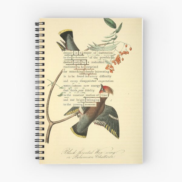 Item preview, Bird Divination: Black throated Wax-wing or Bohemian Chatterer (almanacofbirds.org) designed and sold by mariapopova.