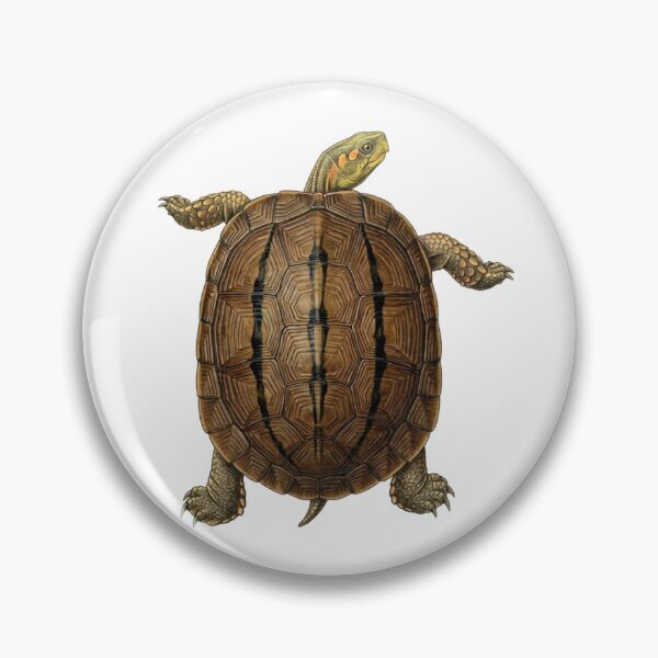 Item preview, Chinese Three-Striped Box Turtle designed and sold by Chaoscience.