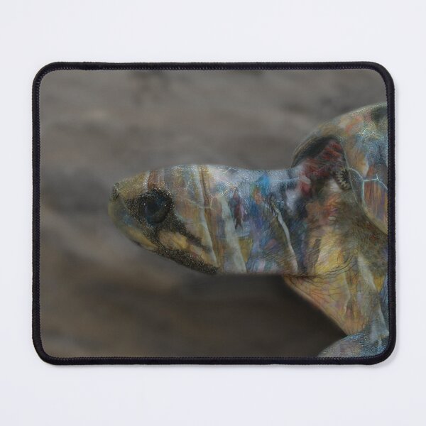 Item preview, The Spirit of Sister Turtle designed and sold by Wayne King.