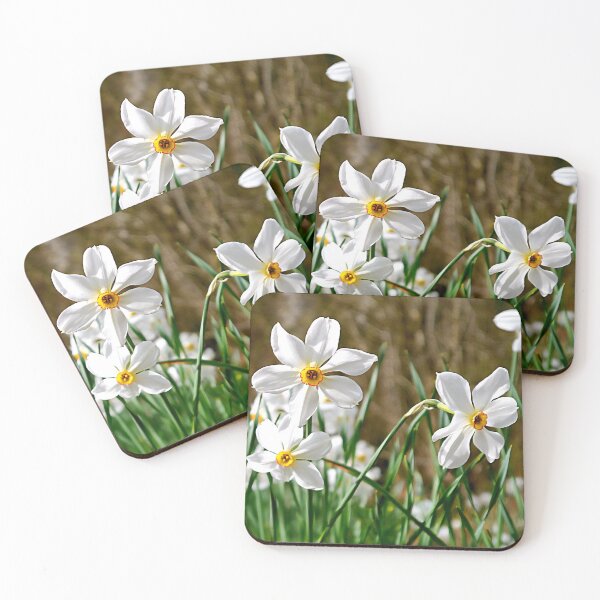 Item preview, White Daffodils - Colourful Spring Garden Flowers - Floral Photography  designed and sold by Deas Creations.